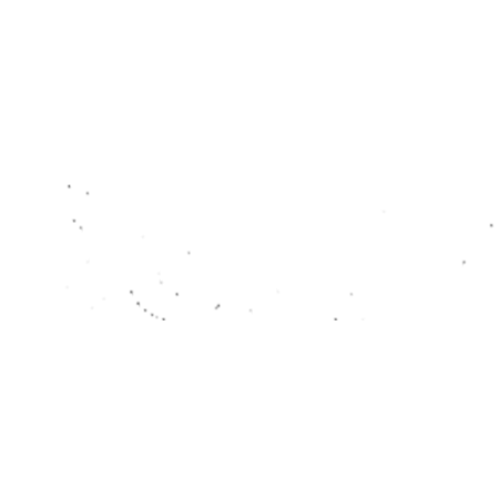 Dottir logo